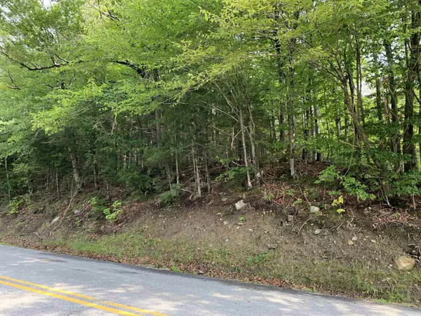 Groton, NH 03241,36 North Groton RD #lot 36