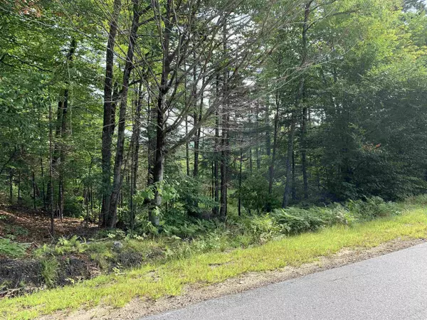 Groton, NH 03241,36 North Groton RD #lot 36