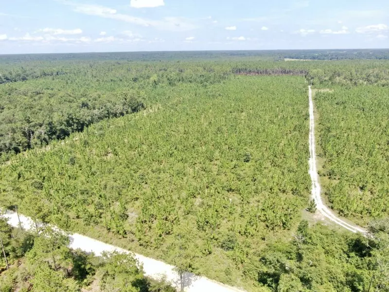 Vacant NE Hickory Grove Road, Pinetta (madison County), FL 32350