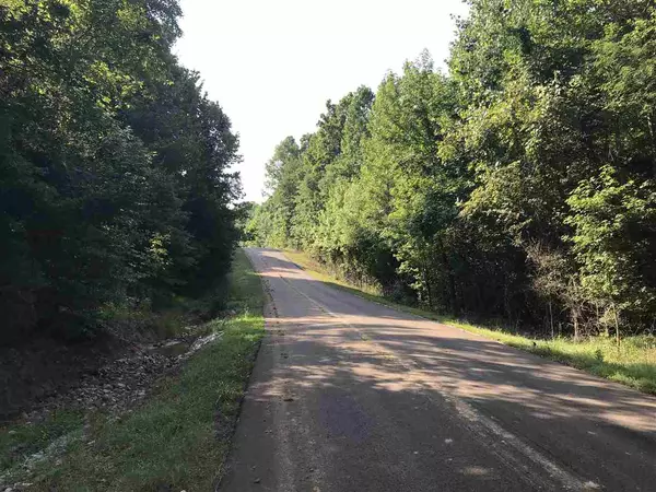 Selmer, TN 38375,0 LAKE TRAIL LOOP