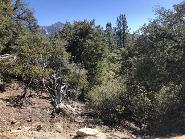 Idyllwild, CA 92549,0 Mountain View Dr DR