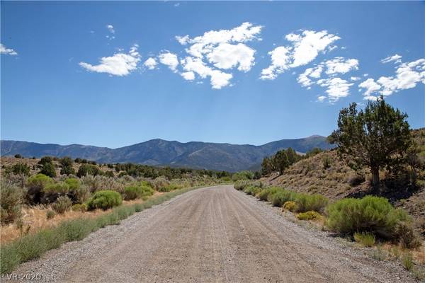 Ely, NV 89301,4900 E BIRD CREEK Road #LOT 8