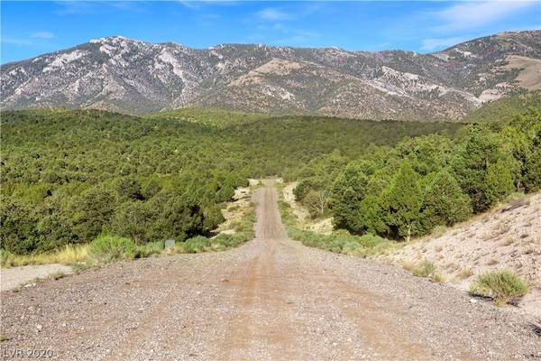 Ely, NV 89301,4900 E BIRD CREEK Road #LOT 8