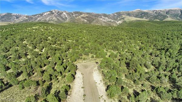 Ely, NV 89301,4900 E BIRD CREEK Road #LOT 8