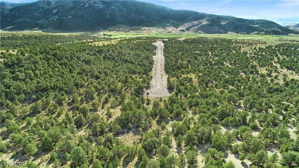 Ely, NV 89301,4900 E BIRD CREEK Road #LOT 8