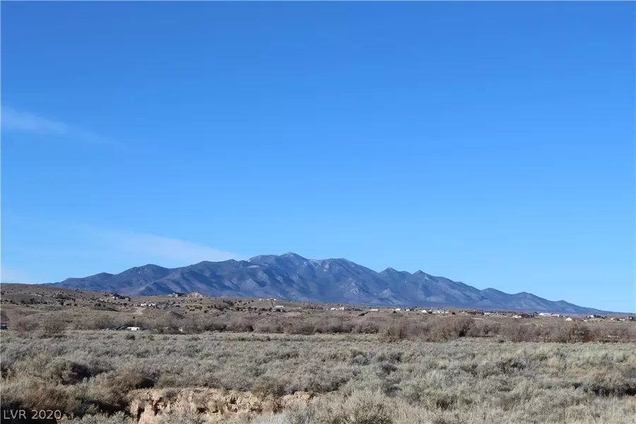 Gary - 39.29 Acres, Caliente, NV 89008