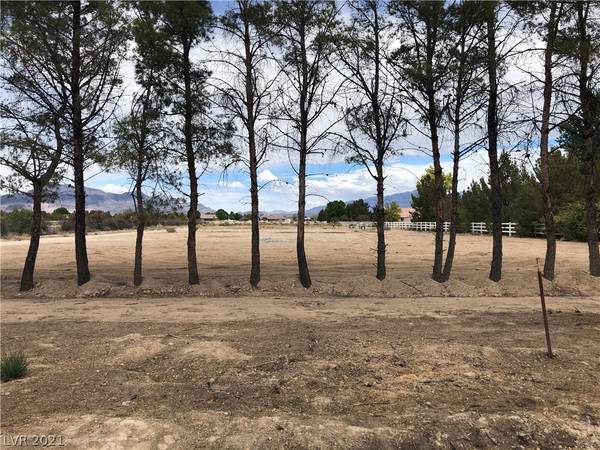 1600 W Betty Avenue, Pahrump, NV 89060