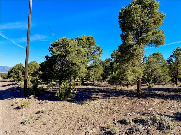 Pioche, NV 89043,Pinion Pine Dr.