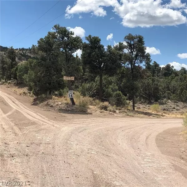 Rice, Pioche, NV 89043