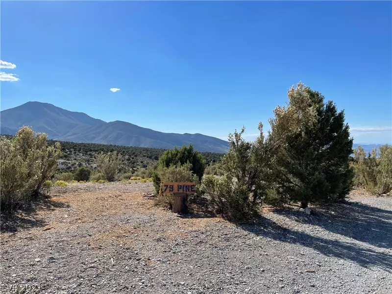 79 Pine Road, Cold Creek, NV 89124