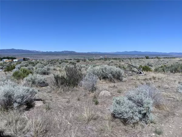 Pioche, NV 89043,US Hwy 93 - 8.08 Acres