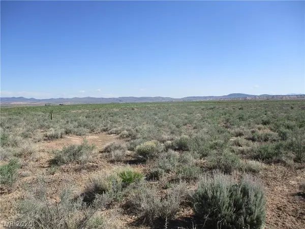 Cold Springs Road, Panaca, NV 89042