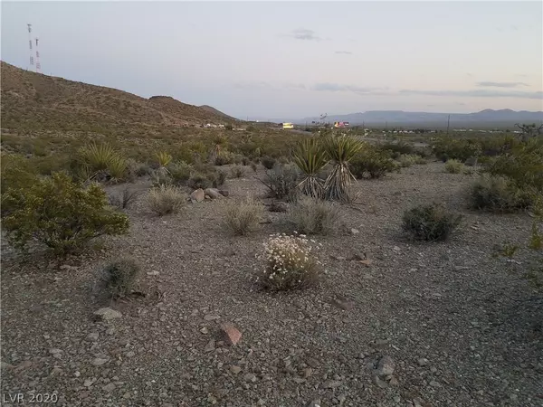 Searchlight, NV 89046,US 95 (Georgetown)