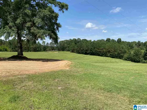 Billingsley, AL 36006,2452 COUNTY ROAD 67