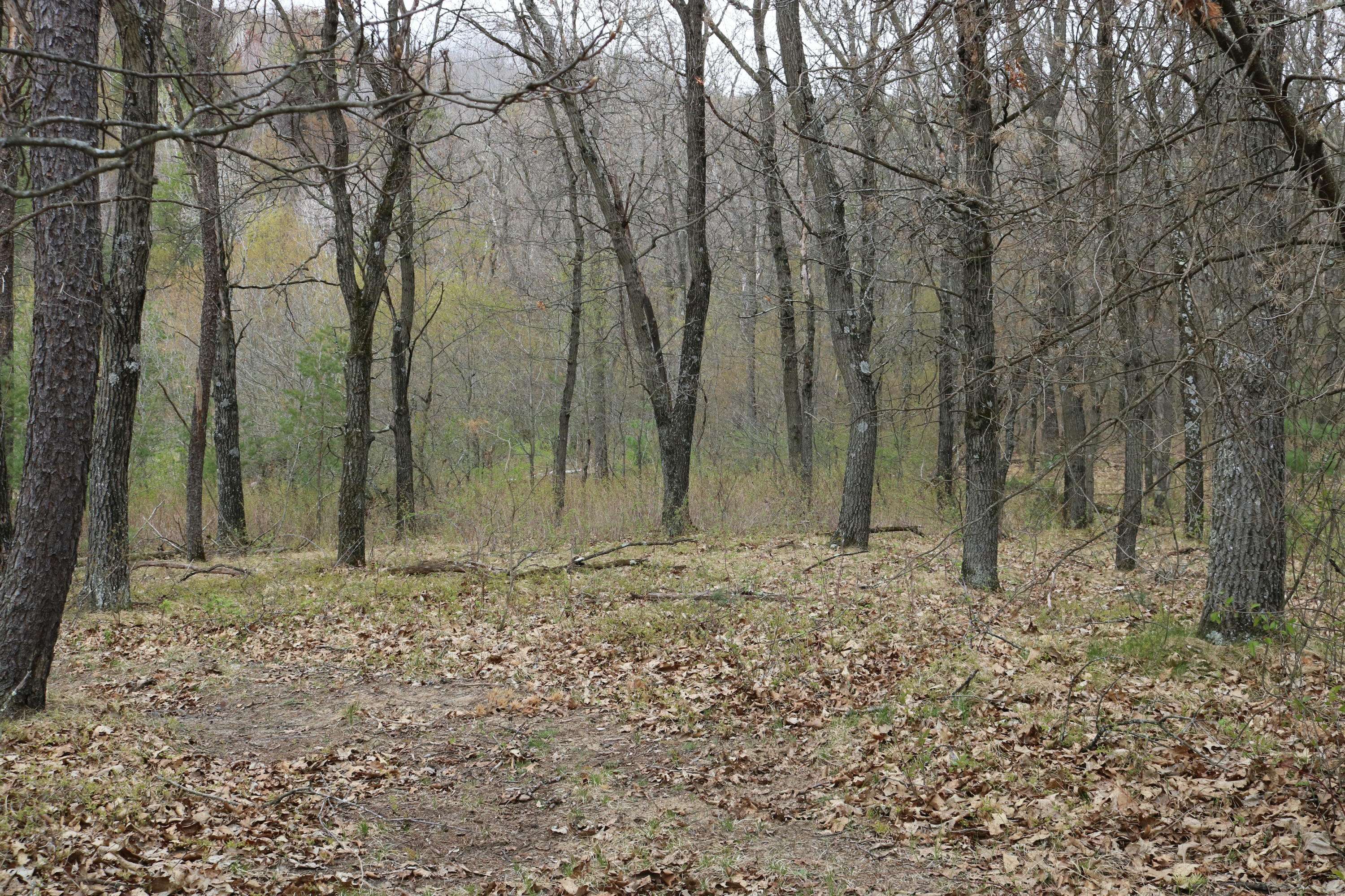 Lot 14 Jargon Ave, Wells, WI 54656