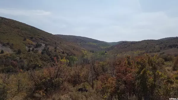 Woodland, UT 84036,2060 BRIDGE HOLLOW RD