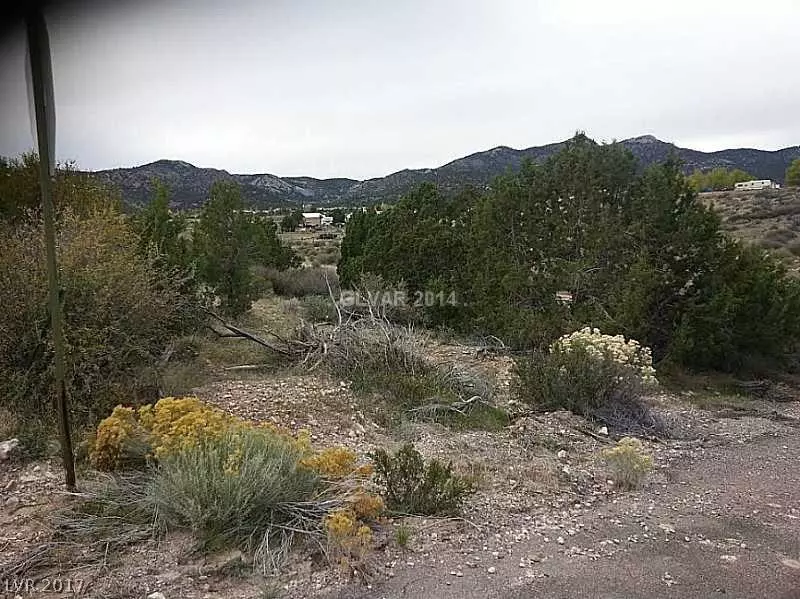 Cedar Ridge Street, Pioche, NV 89043