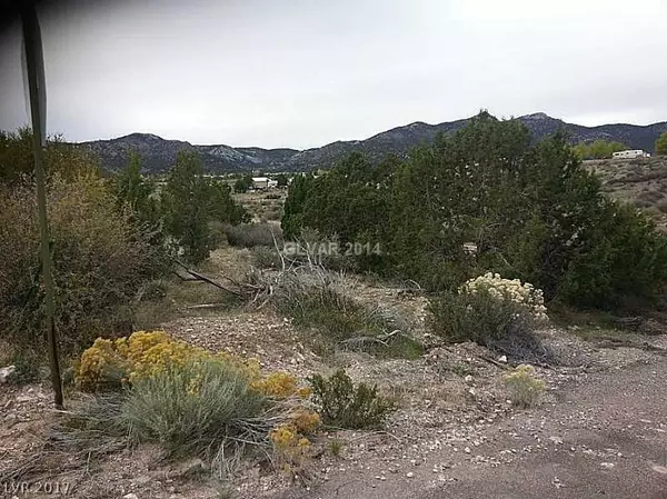 Pioche, NV 89043,Cedar Ridge Street