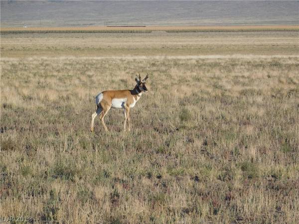 Alamo, NV 89001,Winchester RD Block 5 Lot 8