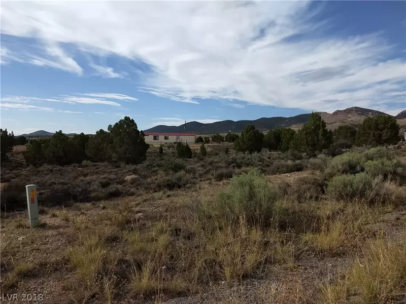 Bartolo Rd, Pioche, NV 89043