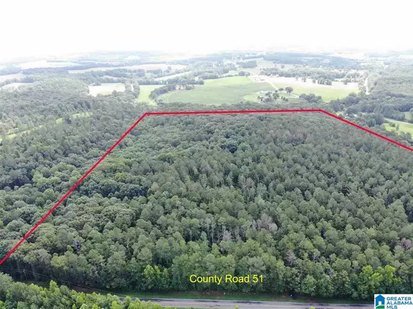 0 COUNTY ROAD 51 #0, Woodland, AL 36280