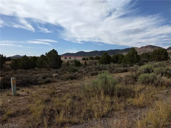 Bartolo Rd, Pioche, NV 89043