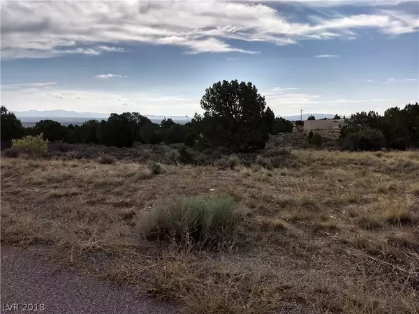 Pioche, NV 89043,Bartolo Rd