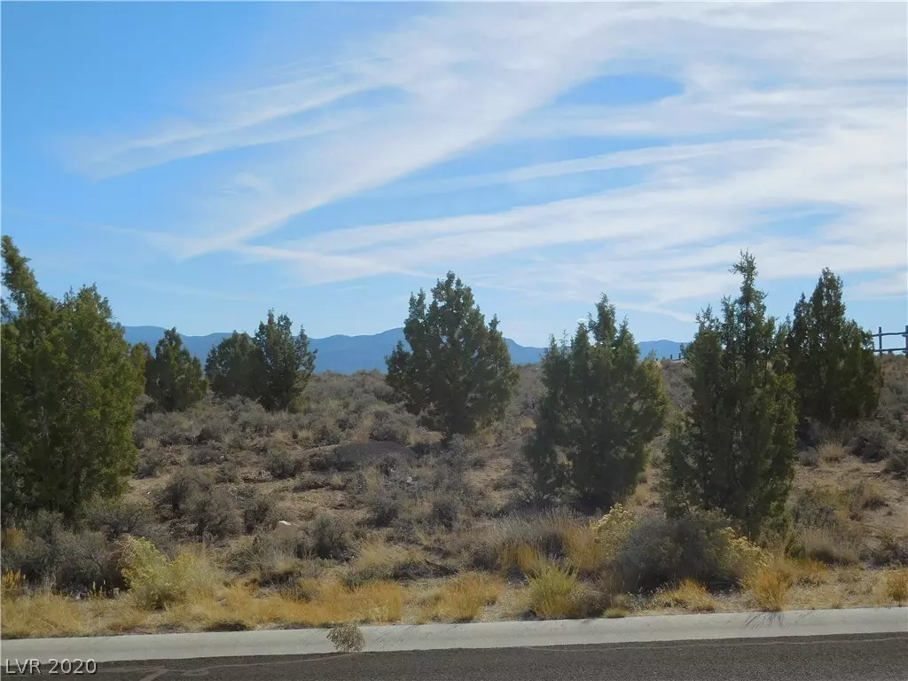 Ely, NV 89301,Vacant Lots in Mineral Heights