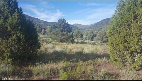 11 ac in Bothwick, Ely, NV 89301