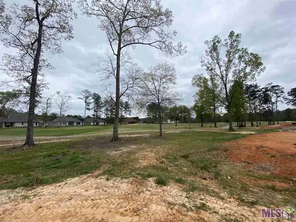 Springfield, LA 70462,23350 CYPRESS COVE