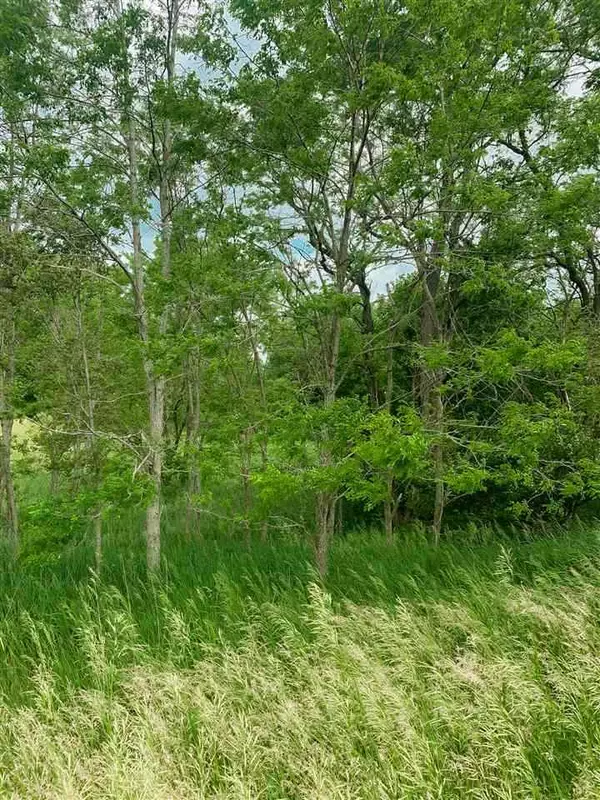 Jackson, MI 49201-,lot 38 WHITE TAIL LN