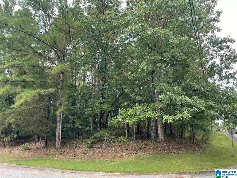 101 OLD SPANISH TRAIL #Lot 1, Alabaster, AL 35007