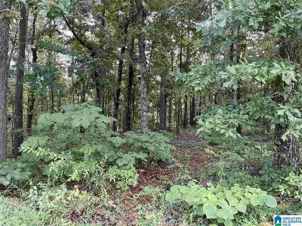 Alabaster, AL 35007,101 OLD SPANISH TRAIL #Lot 1