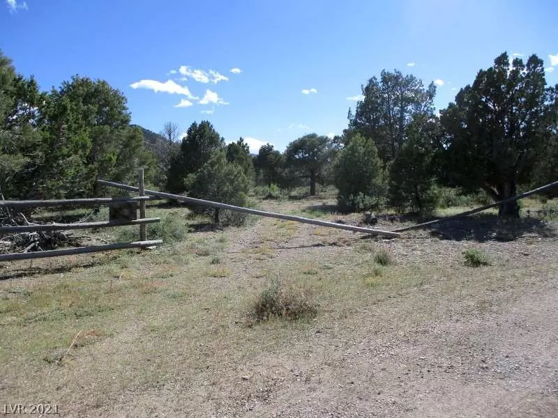 Malloy Springs, Pioche, NV 89043