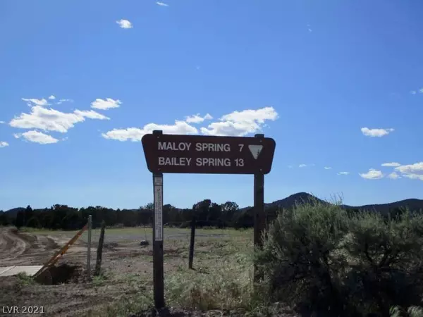 Pioche, NV 89043,Malloy Springs