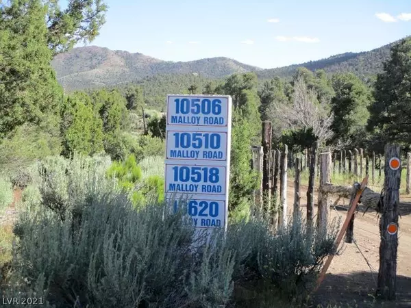 Pioche, NV 89043,Malloy Springs