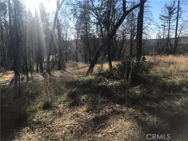 Berry Creek, CA 95916,0 Four M