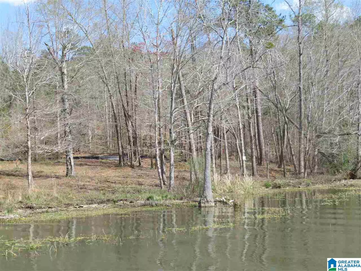 Rockford, AL 35136,Lot 15 EAGLE POINT TRACE #15