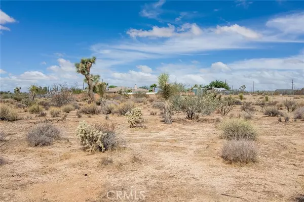 Yucca Valley, CA 92284,4 Anita