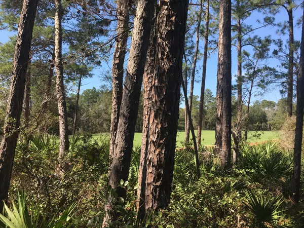 Panama City Beach, FL 32413,1603 Sharks Tooth Trail