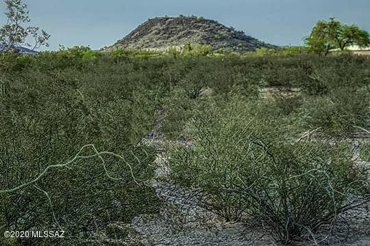 Tucson, AZ 85735,17660 Old West Cactus Trail