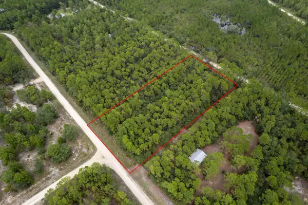 Perry, FL 32348,Vacant (2.0) Whitetail Drive