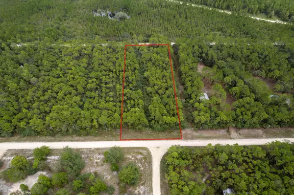 Perry, FL 32348,Vacant (2.0) Whitetail Drive