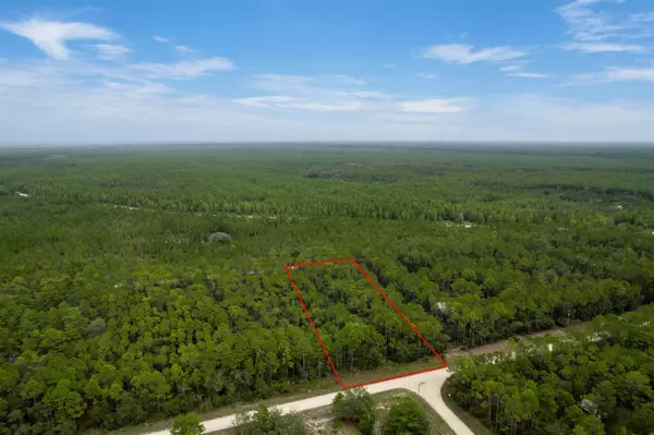 Perry, FL 32348,Vacant (2.0) Whitetail Drive