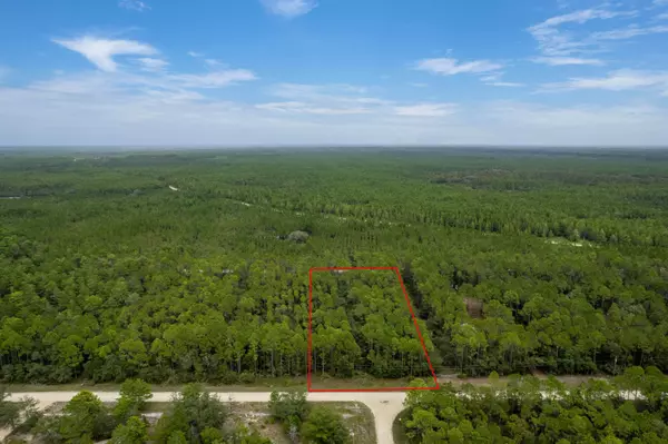 Perry, FL 32348,Vacant (2.0) Whitetail Drive