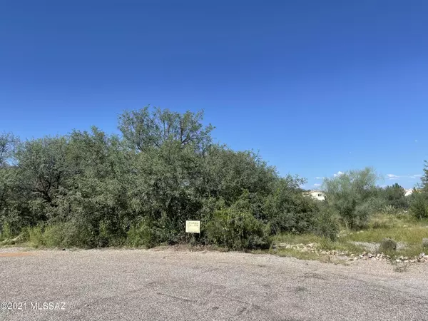 Rio Rico, AZ 85648,436 Vi Court #38