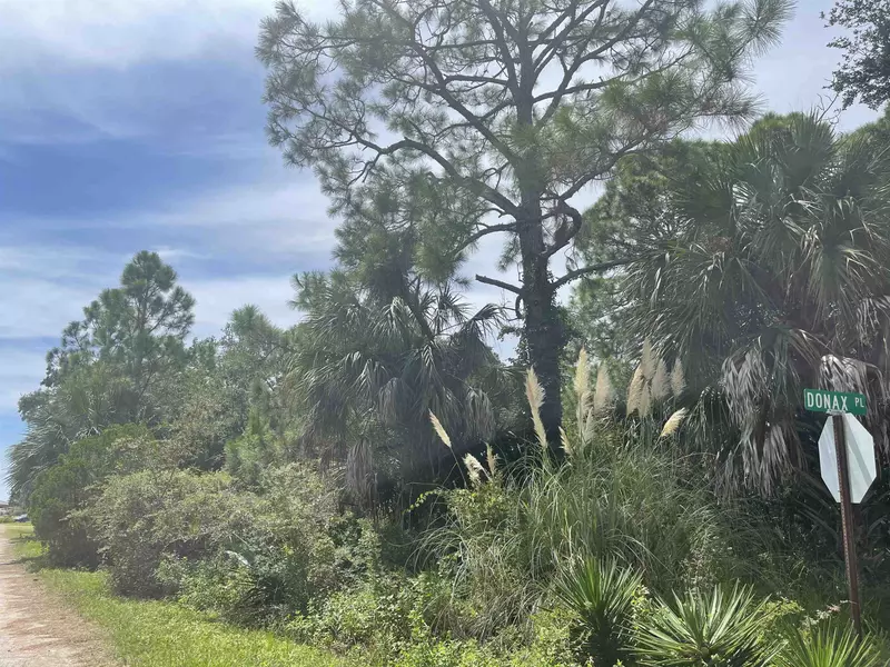 1443 Donax Place #-, Alligator Point, FL 32346