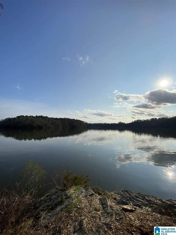 LOT-19 LAKE FRONT TRAIL #LOT-19, Clanton, AL 35046